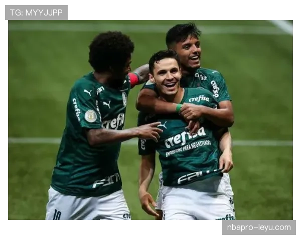 圣保罗巴甲表现强劲，连胜势头持续引领积分榜